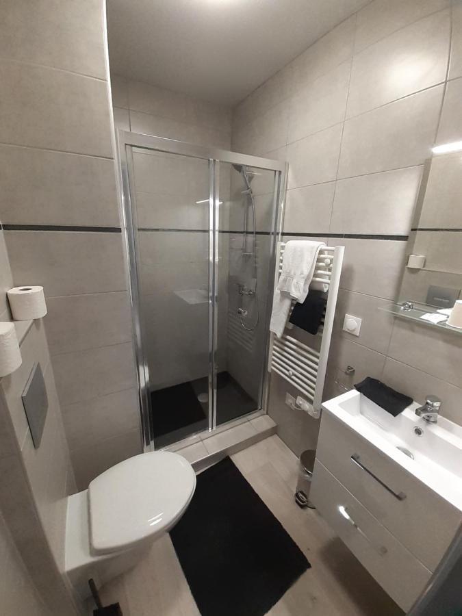Les appartements du Saint Hubert Arcis-sur-Aube Extérieur photo